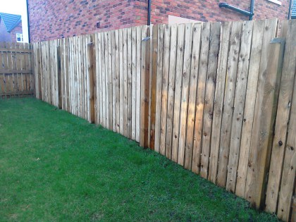 Privacy Fencing