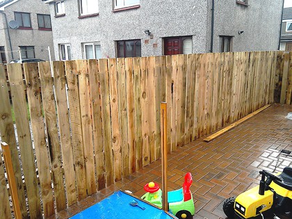 Privacy Fencing