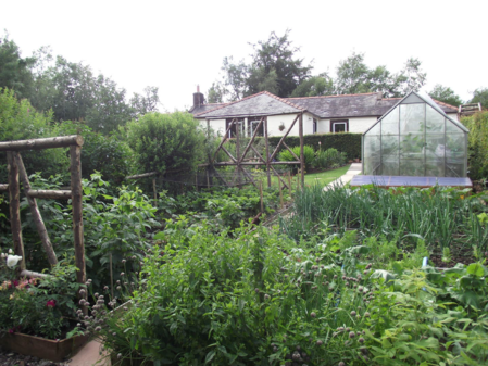 Creating A Fruit & Vegetable Plot