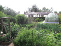 Vegetables