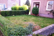 Winter Clearance - Hedge Cutting, Grass Cut, Shrub Pruning