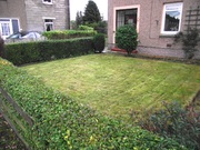 Winter Clearance - Hedge Cutting, Grass Cut, Shrub Pruning