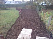 Bark Area (low maintenance)